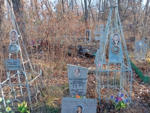 1f51a06d-a930-4654-a389-a7493c33f125 Воскобойников Евгений Дмитриевич