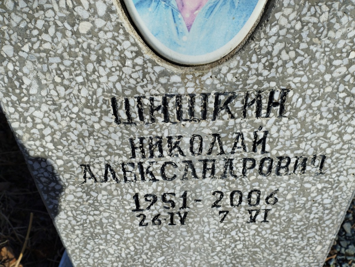 Шишкин Николай Александрович