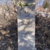 Шарапов Александр Александрович