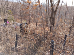 Дерека Федор Логвиновичь