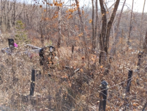 Дерека Федор Логвиновичь