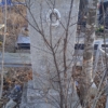 Смолина Евдокия Петровна
