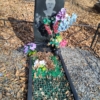 Куртукова Людмила Владимировна