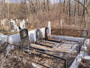 206bd1f8-a0c7-4126-9f94-964e19c6fc9b Качкина Анна Павловна