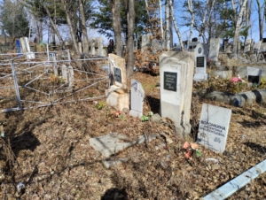 208e3618-0f63-4832-a39b-01a27d465f6f Воронкина Светлана Николаенва