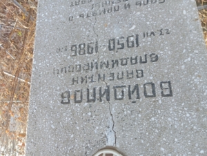 Войдилов Валентин Владимирович