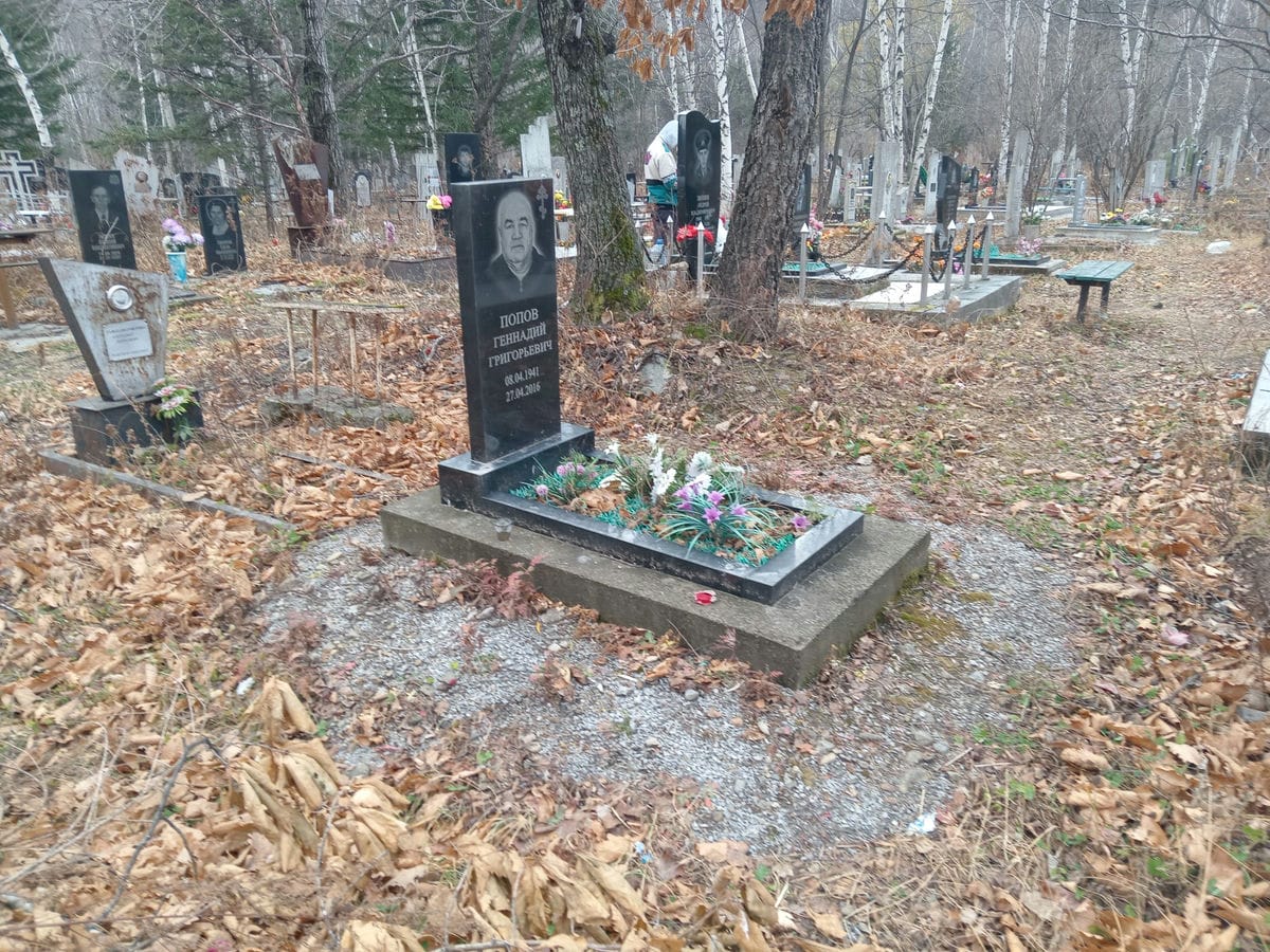 212b8ea7-a45d-4b40-ba1b-6ba08624c1f5 Попов Геннадий Григорьевич