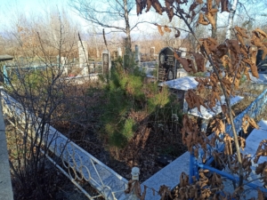 Семилетко Мария Романовна