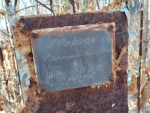 21893720-2934-4e84-933e-0b0d6fd82441 Свергун Ефросинья Григорьевна