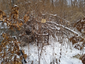 Николаенко Николай Харитонович