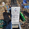 Терещенко Мария Владимировна