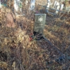 Кулибко Николай Владимирович