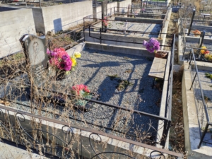 Ершов Александр Петрович