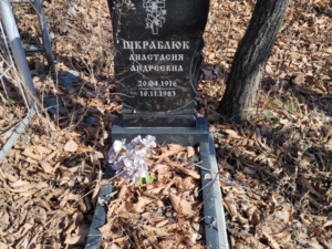 Шкраблюк Анастасия Андреевна