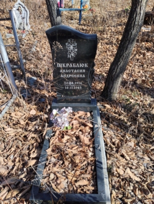 Шкраблюк Анастасия Андреевна