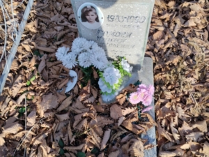 Гомова Елена Валерьевна