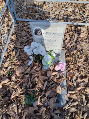 Гомова Елена Валерьевна