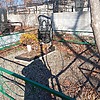Корженевская Олимпиада Владимировна