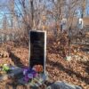 Силкин Дмитрий Юрьевич