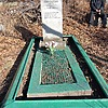 Савостин Петр Иванович