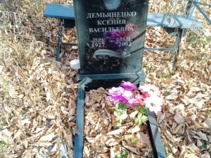 Демьяненко Ксения Васильевна