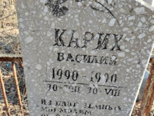 25224f04-9710-4903-bd8c-037a559ca970 Карих Василий Неизвестно