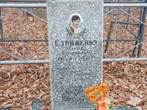Стриженко Сергей Владимирович