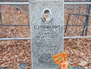 Стриженко Сергей Владимирович