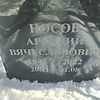 Носов Аркадий Вячеславович