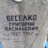 Веселко Григорий Васильевич