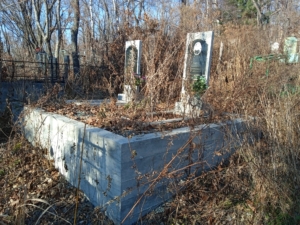 257027be-9436-4123-b24d-fcd22b4ad214 Пашков Василий Михеевич