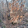 Бесчастный Владимир Ильич