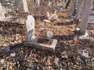 Воевода Тамара Мифодиевна
