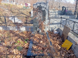 Гришин Евгений Александрович