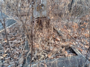 Сокольников Иван Васильевич