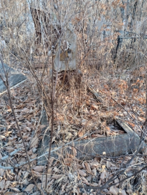 Сокольников Иван Васильевич