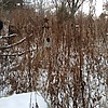 Ким Вера Неизвестно