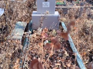 Петько Трофим Емельянович