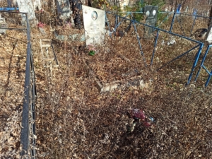 26ee7f54-2914-4ebf-b039-2399918f63be Барышева Анна Андреевна