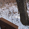Неизвестно Неизвестно Неизвестно