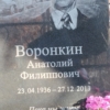 Воронкин Анатолий Фииппович