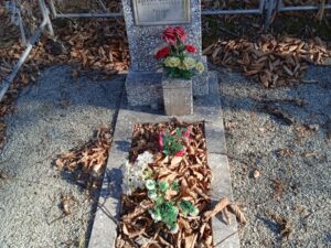 Левен Валентина Петровна