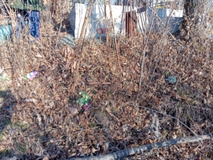 Неизвестно Неизвестно Неизвестно