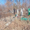 Дмитриев Николай Нестерович