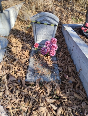 Коваленко Дмитрий Васильевич