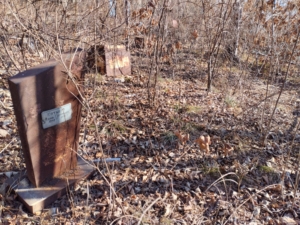 Котырло Анна Григорьевна