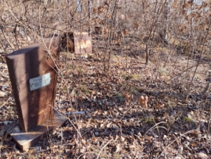 Котырло Анна Григорьевна