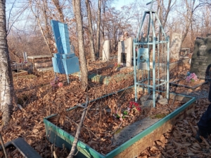 28a50cbd-0730-4895-a659-8479903274f8 Романова Анна Семеновна