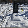 Ракомина Любовь Даниловна