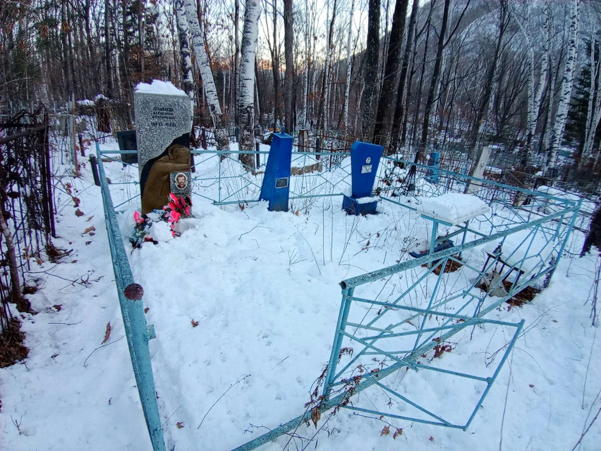 28d728d3-3097-45c4-b608-b1103f3e595c Вольваков Александр Дмитриевич
